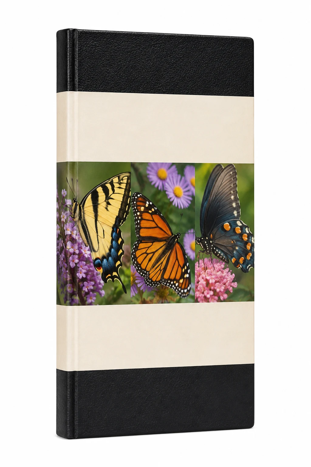 National Audubon Society Field Guide to North American Butterflies