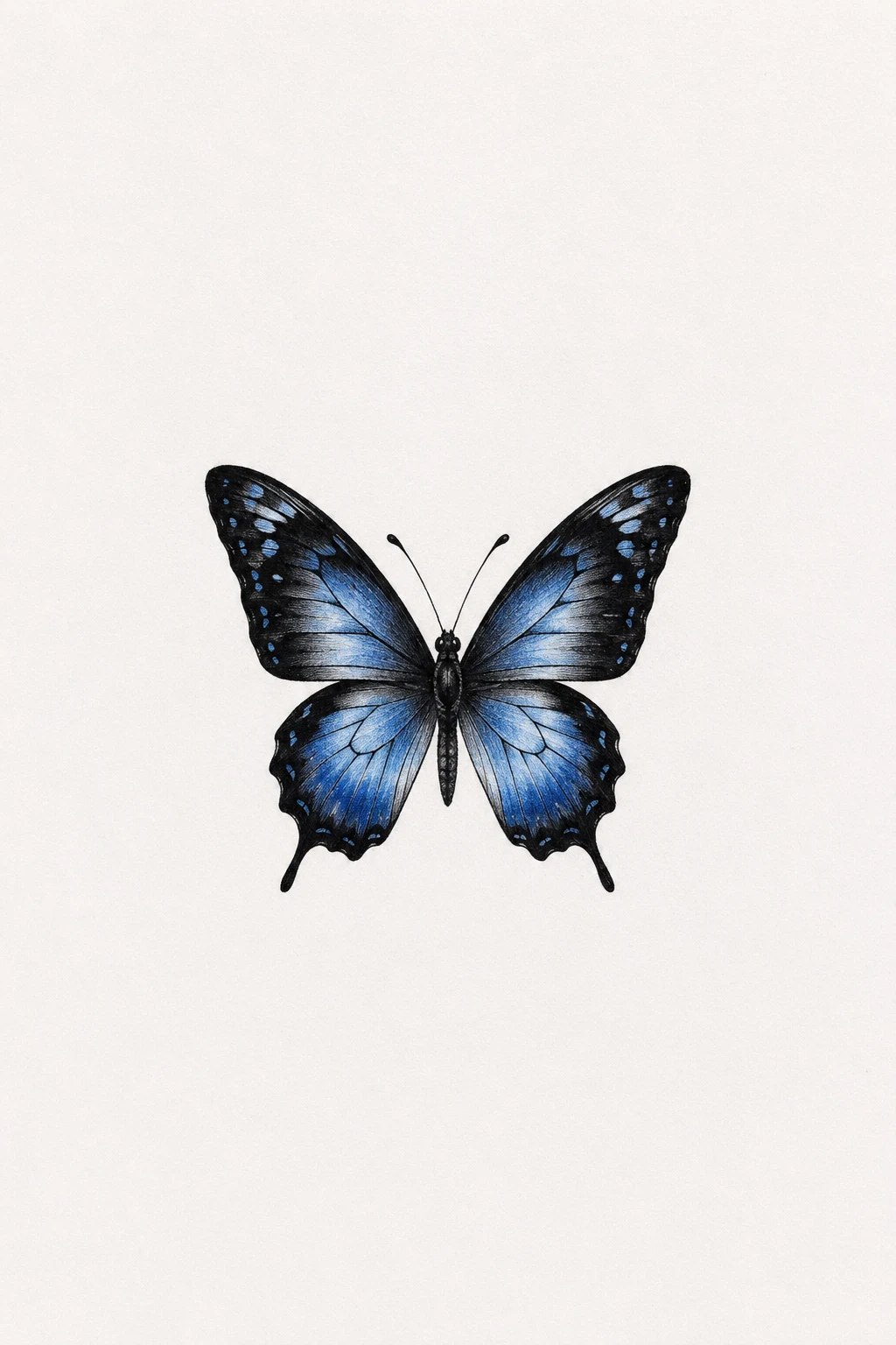 Black-and-Blue Butterfly — mini butterfly tattoo style outfit