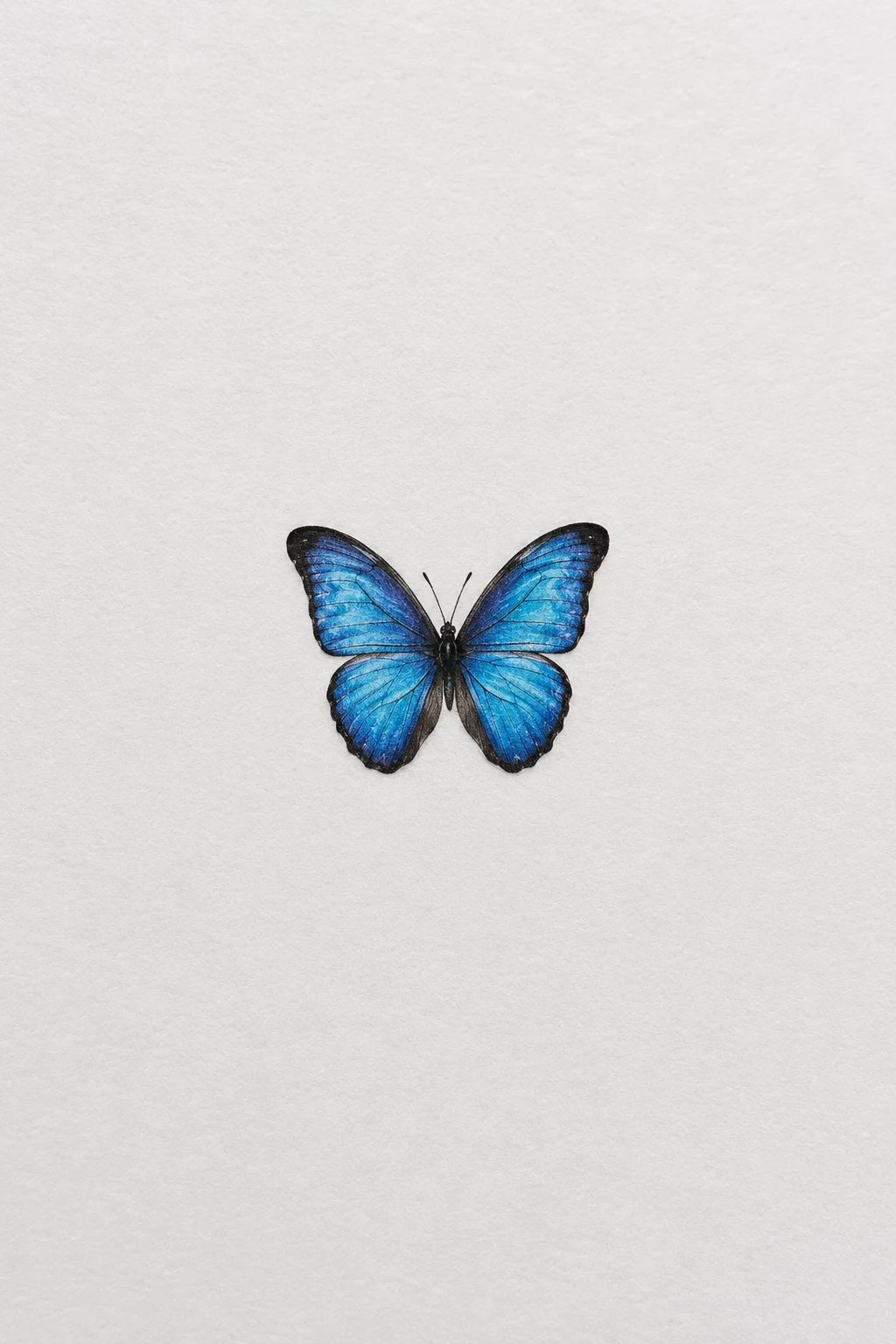 Tiny Blue Morpho — mini butterfly tattoo style outfit