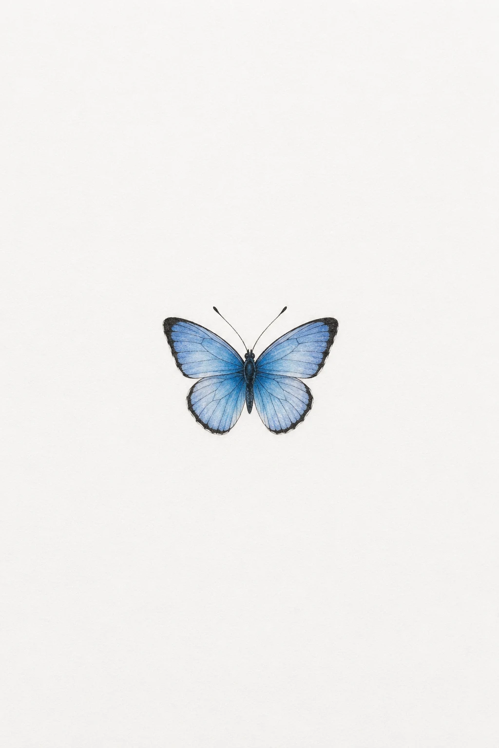 Tiny Blue Butterfly — minimalist butterfly tattoo style outfit