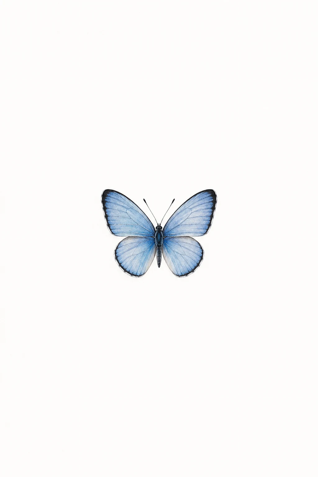 Tiny Blue Butterfly Tattoo — small butterfly tattoo style outfit