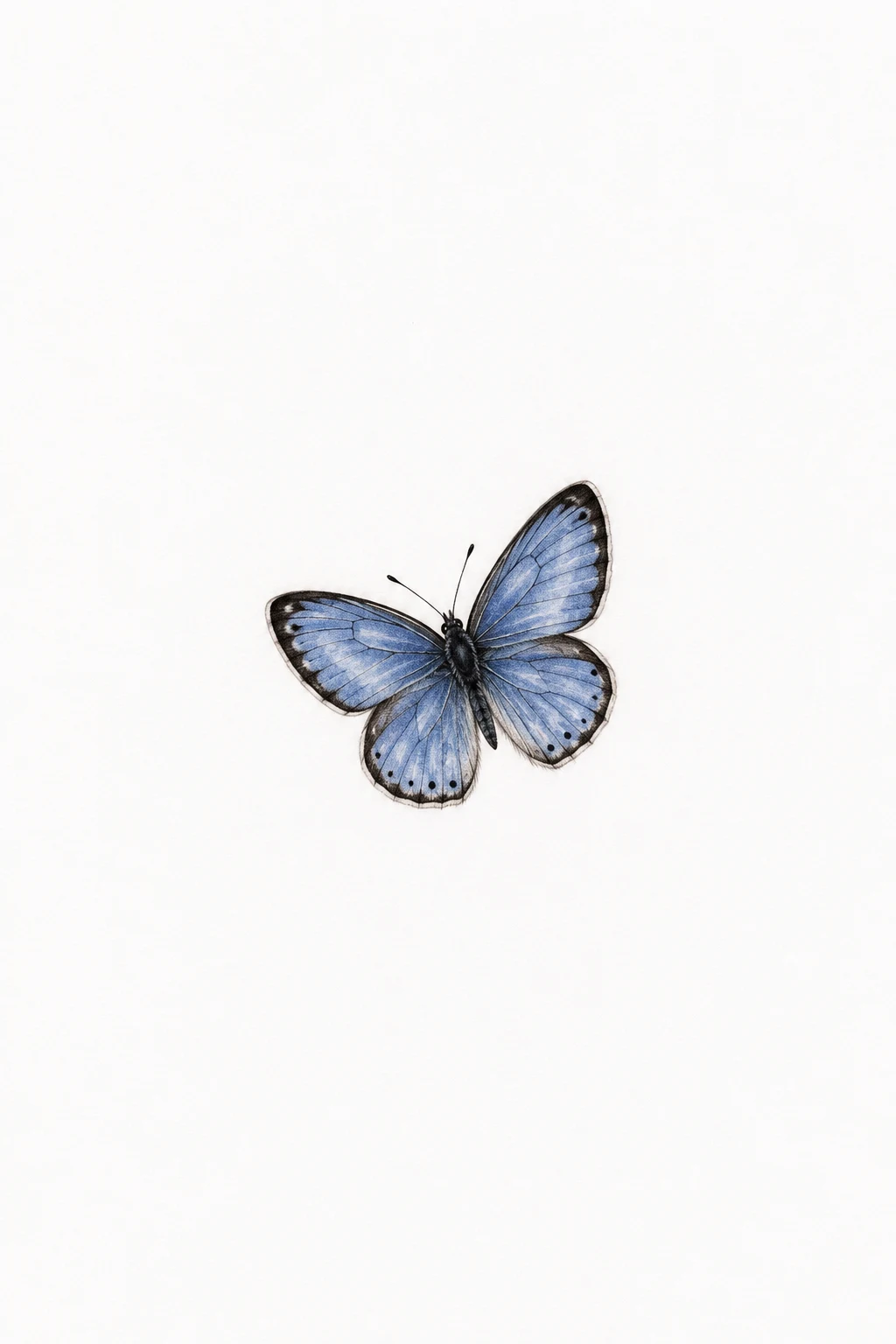 Tiny Blue Wing Butterfly — little butterfly tattoo style outfit